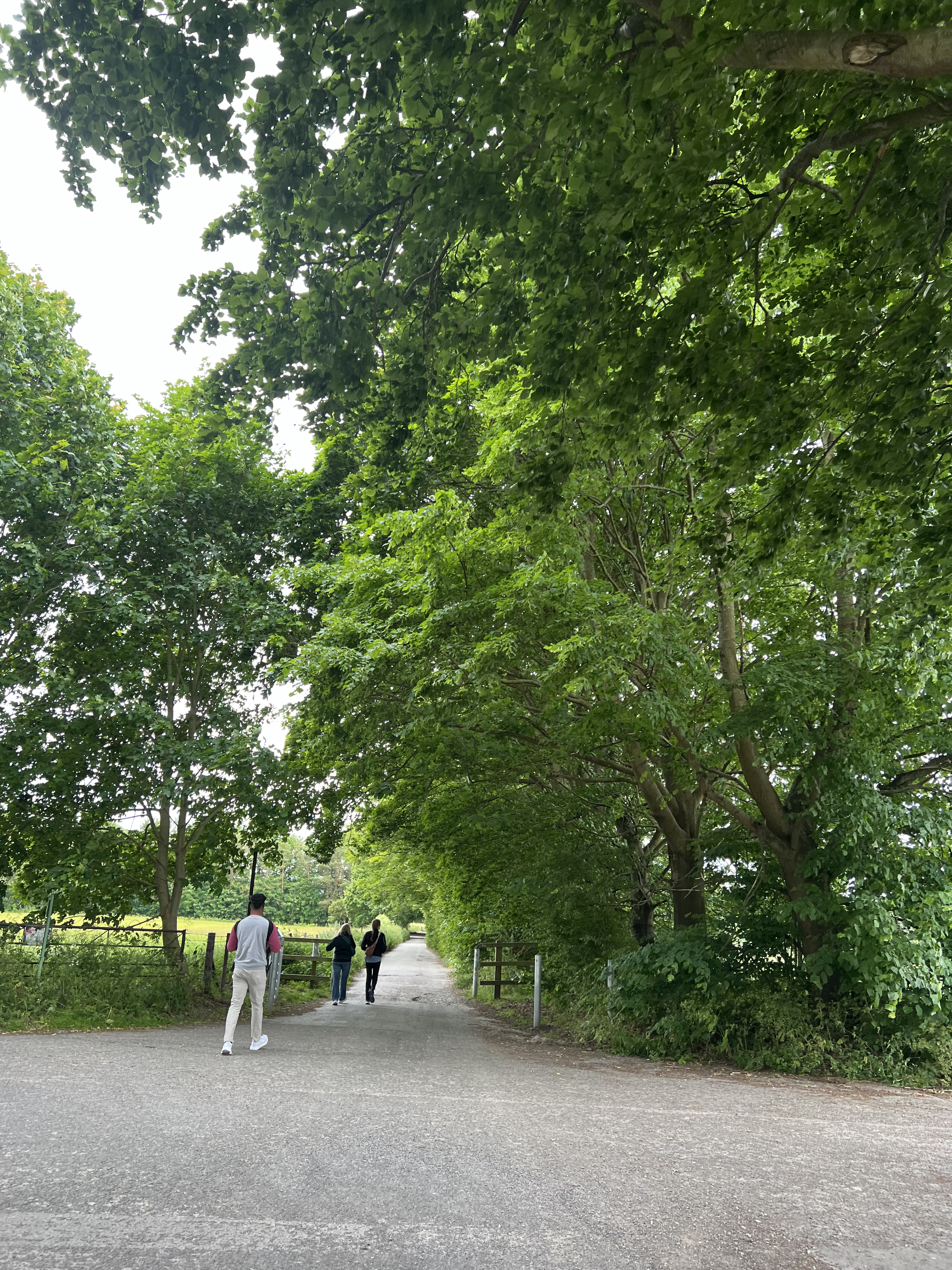 walking to stonehenge